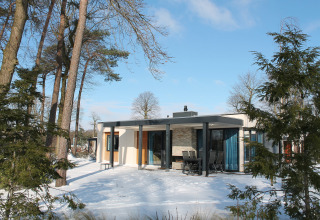 Villa de vacaciones moderna con sauna en Holiday Park Ackersate, Países Bajos, rodeada de nieve y árboles.