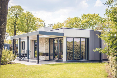 Modern vacation villa with sauna at Holiday park Ackersate in the Netherlands, surrounded by trees and lawn.