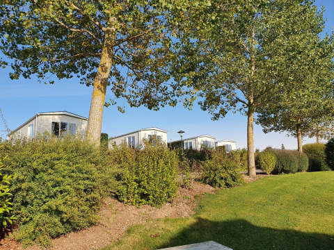 Tres cabañas modernas entre árboles y arbustos en Camping & Ferienpark Brilon en un día soleado.