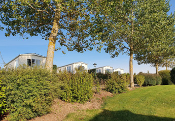 Three luxury cabins sit among lush trees and shrubs at Camping & Ferienpark Brilon on a sunny day.