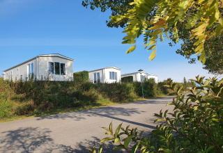 Lujosos chalets blancos en Camping & Ferienpark Brilon, Alemania, rodeados de naturaleza y cielo azul despejado.