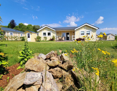 Casa mobile Chalet Limonet al Camping & Ferienpark Brilon, Germania, immersa nel verde e nei fiori gialli.