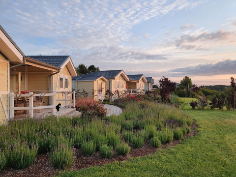 Fila de casas móviles tipo chalet en Camping & Ferienpark Brilon, Alemania, con jardín y atardecer.