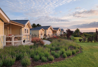 Fila de casas móviles tipo chalet en Camping & Ferienpark Brilon, Alemania, con jardín y atardecer.