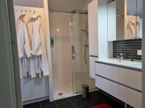 Baño moderno en la casa móvil Chalet Limonet en Camping & Ferienpark Brilon, Alemania, con ducha.