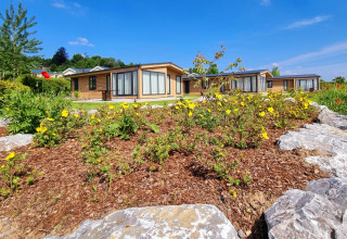 Chalet Enzian en Camping & Ferienpark Brilon, Alemania, rodeado de flores amarillas y cielo azul claro.