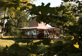 Tienda de glamping vista entre arbustos en Skycabin, Nature house en Camping Si-Es-An, Países Bajos.