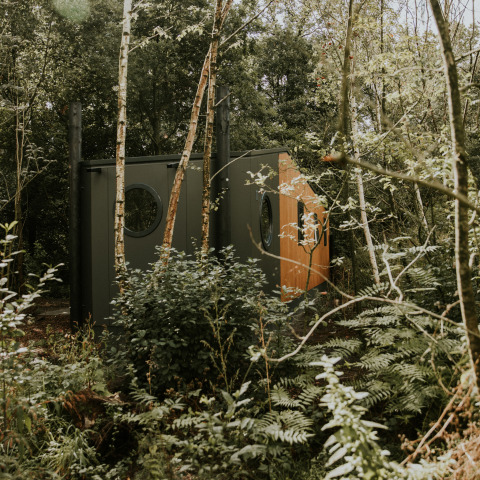 Happy bee lodge en Camping Si-Es-An en los Países Bajos, rodeada de árboles y naturaleza exuberante.
