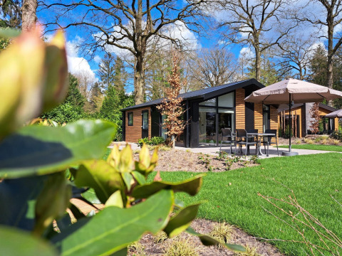 Modern Hackfort 4 lodge at De Utrechtse Heuvelrug in the Netherlands, surrounded by forest, lawn and patio.