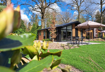 Moderna lodge Hackfort 4 a De Utrechtse Heuvelrug, Paesi Bassi, circondata da prato, patio e foresta.