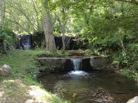 En fredelig scene ved Camping Des Randonneurs i Occitanie, Frankrig, med en lille vandfald og grøn natur.