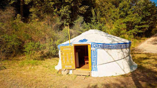 En traditionel mongolsk yurt telte i sollys, omgivet af natur og træer ved Camping Des Randonneurs i Frankrig.