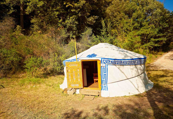 Una yurta tradicional mongola bajo el sol, rodeada de árboles en el Camping Des Randonneurs en Francia.