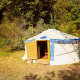 En traditionel mongolsk yurt telte i sollys, omgivet af natur og træer ved Camping Des Randonneurs i Frankrig.