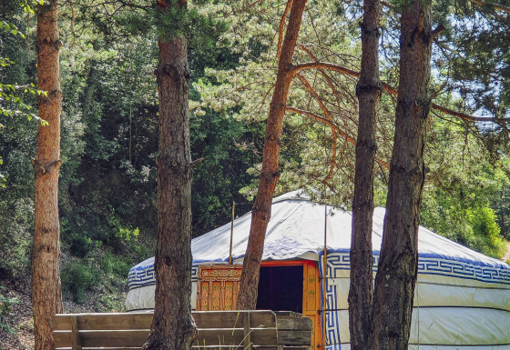 Gran yurta con puerta decorada en un claro del bosque, bancos de madera delante, rodeada de pinos.