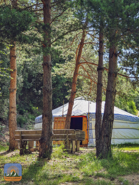 Grote yurt met kleurrijke deur in een bos, houten zitbanken op de voorgrond, omringd door hoge bomen.