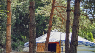 Grande yourte avec porte ornée dans une clairière forestière, bancs en bois à l'avant, pins tout autour.