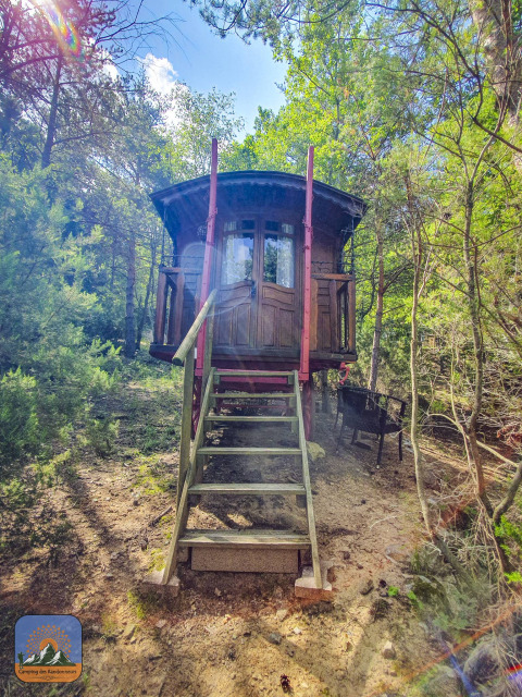 Foto de una encantadora cabaña tipo carreta gitana sin baño privado, rodeada de árboles en el bosque.