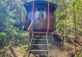 Et foto af en charmerende gipsy wagon-hytte uden privat badeværelse, omgivet af skov og natur.