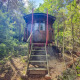Et foto af en charmerende gipsy wagon-hytte uden privat badeværelse, omgivet af skov og natur.
