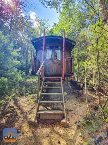 Photo d’une roulotte gipsy sans salle de bain privée, entourée d’arbres au cœur de la nature.