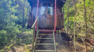 Et foto af en charmerende gipsy wagon-hytte uden privat badeværelse, omgivet af skov og natur.