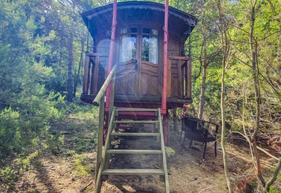 Foto eines gemütlichen Zigeunerwagens ohne privates Badezimmer, umgeben von Bäumen in der Natur.