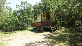 Gipsy wagon accommodatie zonder privébadkamer, omringd door bomen en buitenzitplaats.