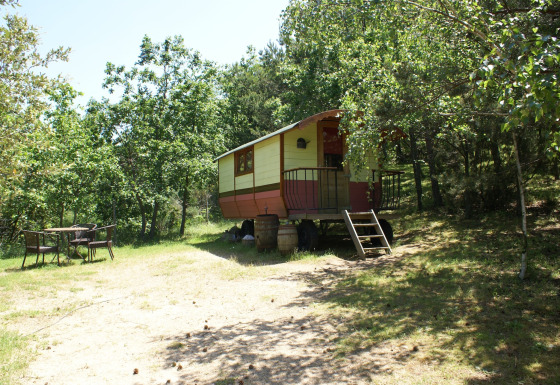 Cabaña Gipsy wagon sin baño privado, rodeada de árboles y una zona de estar al aire libre.