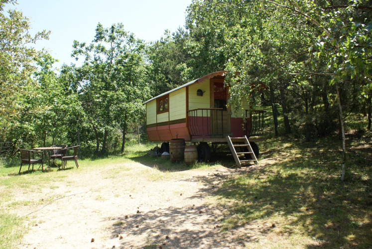 Cabaña Gipsy wagon sin baño privado, rodeada de árboles y una zona de estar al aire libre.