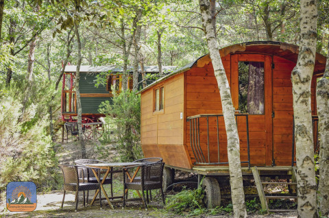 Zwei bunte Zigeunerwagen im Wald mit Gartentisch und Stühlen, ideal für naturnahes Camping.