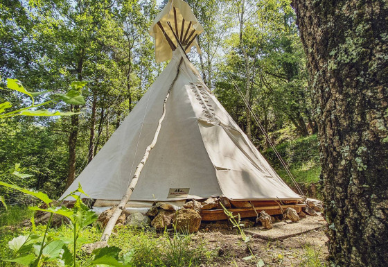Wigwamtent zonder privé-sanitair in een bosrijk gebied bij Camping des Randonneurs.