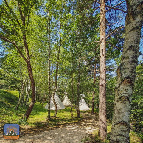 Escena de bosque con tres tiendas tipi entre árboles altos, luz de sol filtrada y ambiente de campamento.