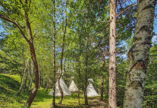 Forest scene with three teepee tents set among tall trees and dappled sunlight, perfect for summer camping.