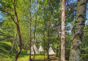 Escena de bosque con tres tiendas tipi entre árboles altos, luz de sol filtrada y ambiente de campamento.