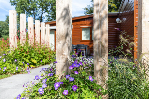 Blomstrende have og træhytte i baggrunden ved Cozy Chalet, Bungalowpark Het Verscholen Dorp i Holland.