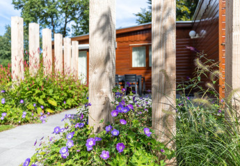 Blomstrende have og træhytte i baggrunden ved Cozy Chalet, Bungalowpark Het Verscholen Dorp i Holland.