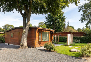 Tiny house Cozy Chalet en Bungalowpark Het Verscholen Dorp, Países Bajos, rodeada de árboles y jardín verde.