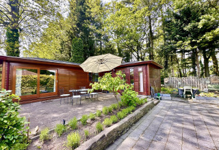 Acogedor chalet en Bungalowpark Het Verscholen Dorp, Países Bajos, con terraza, sombrilla y jardín arbolado.