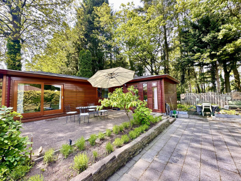 Chalet douillet au Bungalowpark Het Verscholen Dorp, Pays-Bas, avec terrasse, parasol et jardin arboré.