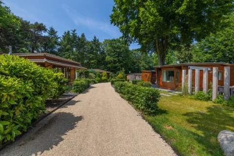 Sunny path lined with cozy wooden chalets and lush greenery at Bungalowpark Het Verscholen Dorp, Netherlands.