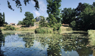 Paysage paisible autour de Wissignicourt, avec étang, nénuphars, arbres et maison en arrière-plan.