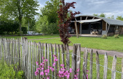 Lodge exterior en Holiday Park 't Rheezerwold, Países Bajos, con cerca de madera y flores rosas.