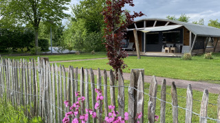 Outdoor lodge bij Vakantiepark 't Rheezerwold in Nederland met houten hek, bloemen en groen gazon.