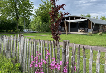 Lodge extérieur au Holiday Park 't Rheezerwold aux Pays-Bas, clôture en bois, fleurs et nature luxuriante.