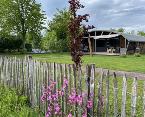 Lodge extérieur au Holiday Park 't Rheezerwold aux Pays-Bas, clôture en bois, fleurs et nature luxuriante.