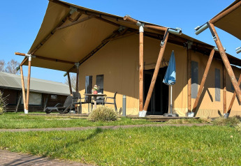 Luxe tentlodge op vakantiepark 't Rheezerwold in Nederland, met terras en buitenzitje zichtbaar.