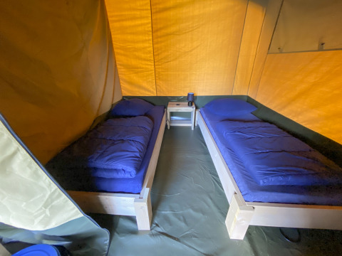 Innenansicht eines Safarizeltes mit zwei Einzelbetten und blauer Bettwäsche auf Camping De Betteld.