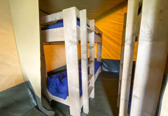Interior of a safari tent at Camping De Betteld in the Netherlands with bunk beds and blue bedding.