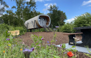 Pequeña casa llamada Anthropod en Holiday Park 't Rheezerwold, rodeada de flores silvestres y vegetación.